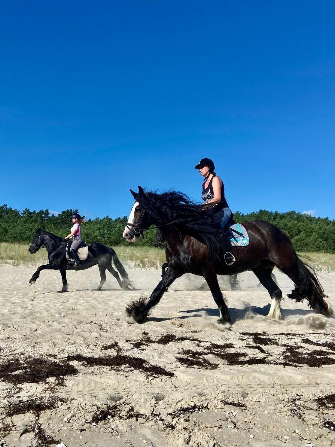 Friesenhof Hotel-Restaurant-Reitanlage Trassenheide Zewnętrze zdjęcie