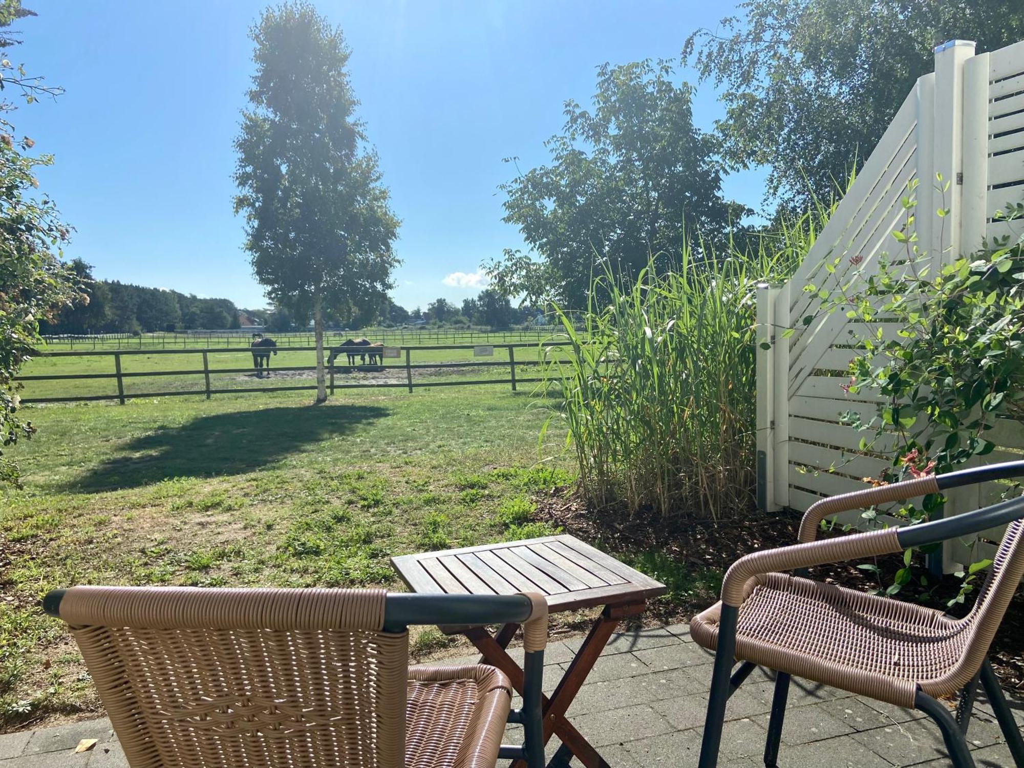 Friesenhof Hotel-Restaurant-Reitanlage Trassenheide Pokój zdjęcie